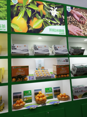 黔陽冰糖橙閃耀第十八屆中國國際農(nóng)產(chǎn)品交易會，山城重慶盡展“橙”意